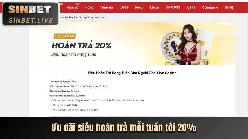Chương trình VIP bet66 chính thức